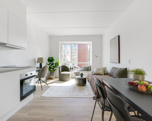 2 værelses lejlighed i København S