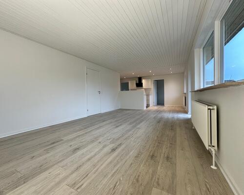 4 værelses hus i Viborg