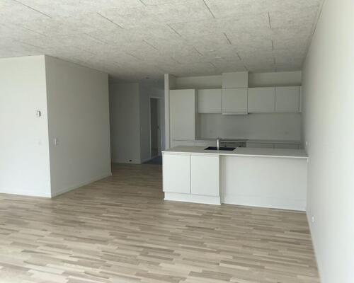 Nybygget rækkehus i Aalborg SV