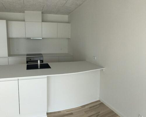 Nybygget rækkehus i Aalborg SV