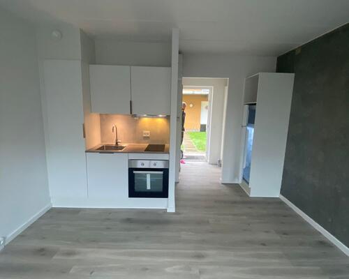 Nyrenoveret 1 vær. helt centralt i centrum