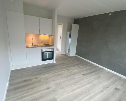 Nyrenoveret 1 vær. helt centralt i centrum