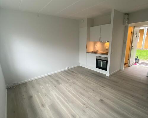 Nyrenoveret 1 vær. helt centralt i centrum