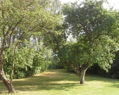 Spændende 3-v lejlighed i landejendom