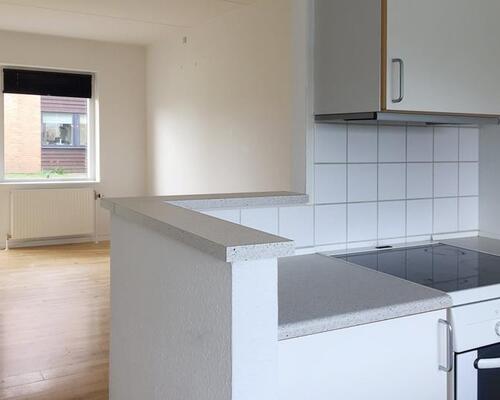 2-værelses lejlighed beliggende i Skejbyparken