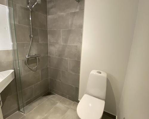 Dejlig lys lejlighed for den studerende