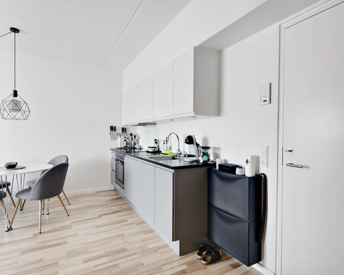 Flot 1-værelses lejlighed i Zebra House