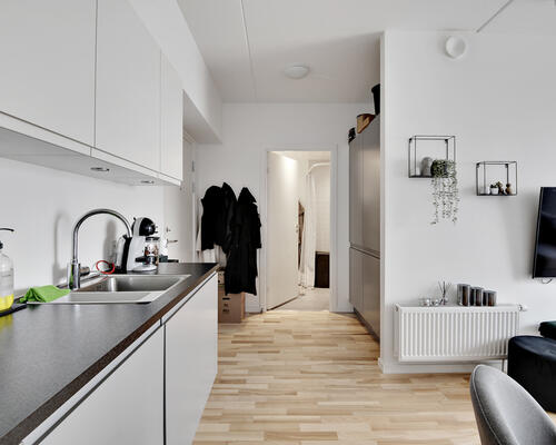 Flot 1-værelses lejlighed i Zebra House