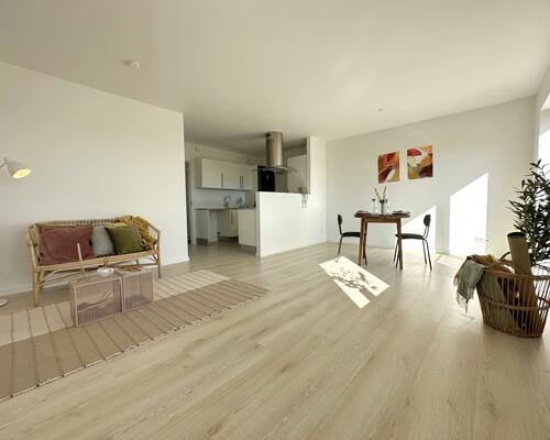 2 værelses lejlighed i Århus V