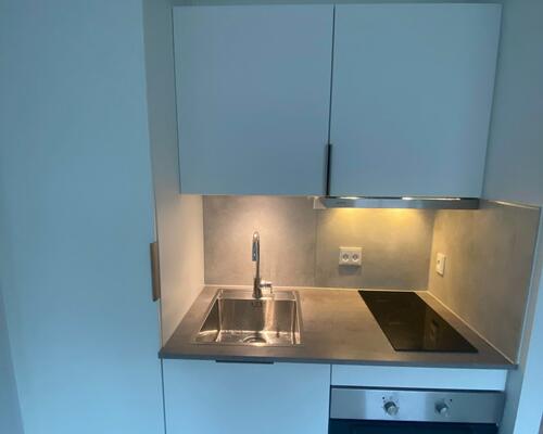 Nyrenoveret 1-værelses lejlighed