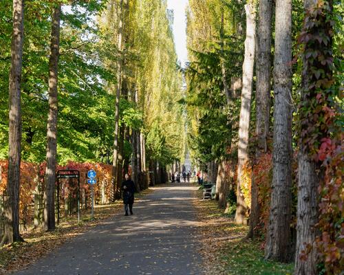 Flot herskabslejlighed på Nørrebrogade