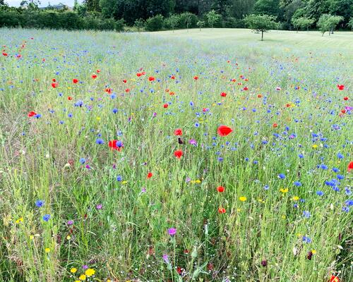 4 værelses hus i Nærum