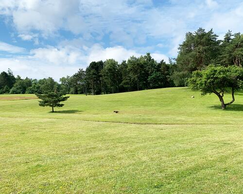 4 værelses hus i Nærum
