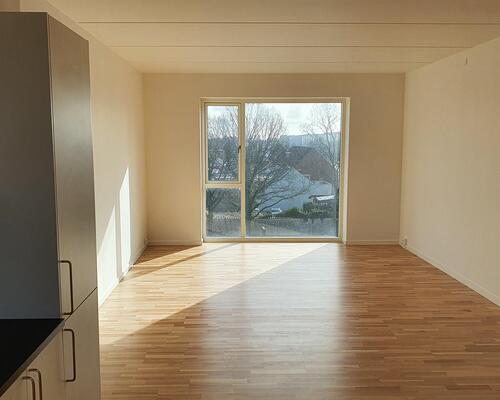 Ny, lækker lejlighed i Odense -Kan lejes indskudsfri