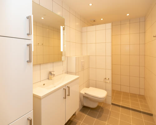 3-værelses lejlighed i Teaterkvarteret, Aalborg centrum