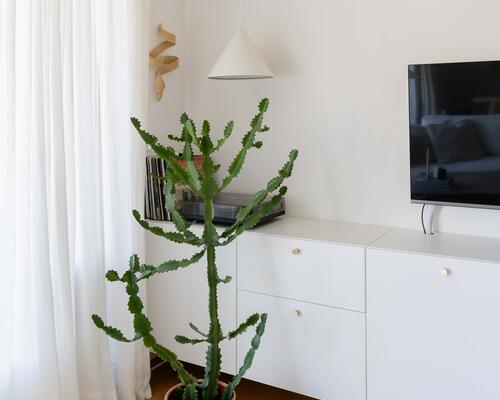 Lys og moderne lejlighed i ikoniske 8-tallet