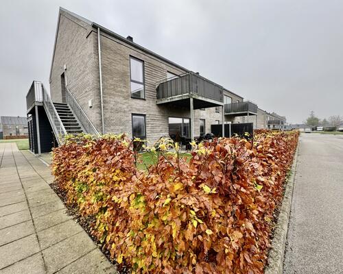 4 værelses lejlighed i Odense S