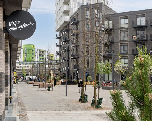 4 værelses lejlighed i København S