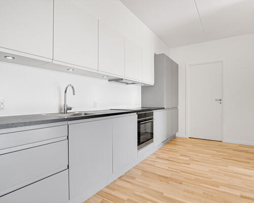 Flot 3-værelses lejlighed i Zebra House