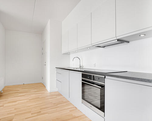 Flot 3-værelses lejlighed i Zebra House