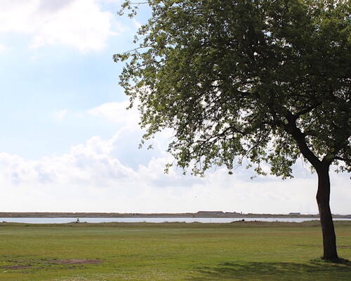 Skøn lejlighed lige ved Amager Strandpark