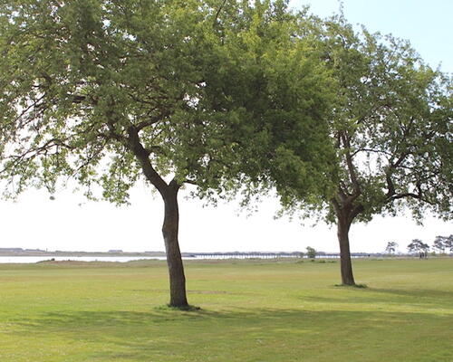 Skøn lejlighed lige ved Amager Strandpark