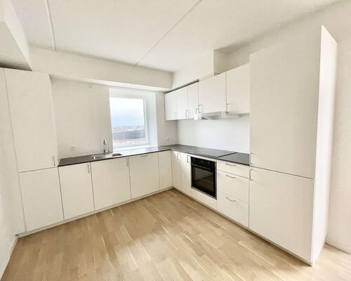 4 værelses lejlighed i Viborg