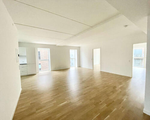 4 værelses lejlighed i Viborg