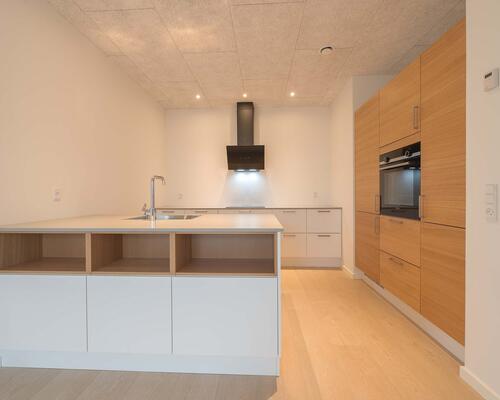 VELKOMMEN TIL ORKIDEEN - NYBYGGET, ENERGIVENLIGE OG MODERNE RÆKKEHUSE TIL LEJE I ARNBJERG