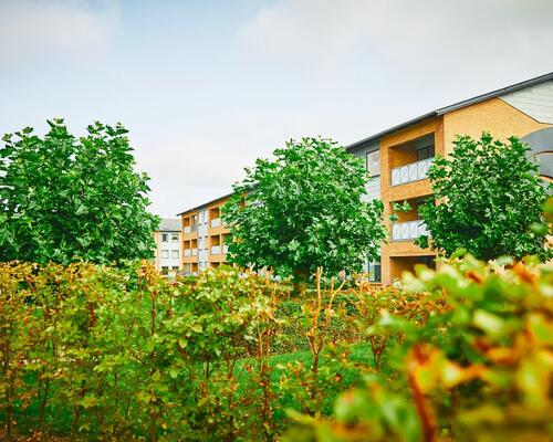 4 værelses lejlighed i Nørre Aaby