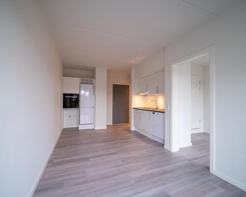 Perfekt 2-vær. i centrum