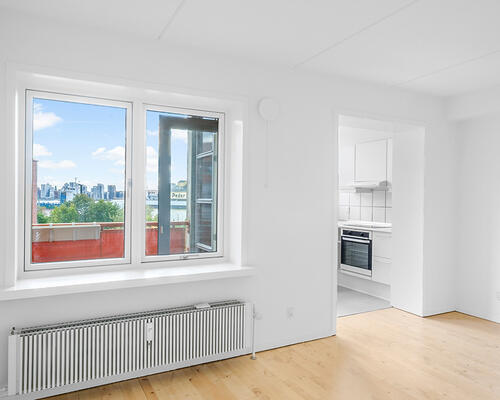 Stor 1-værelses lejlighed på 49 m²