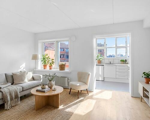 Stor 1-værelses lejlighed på 49 m²