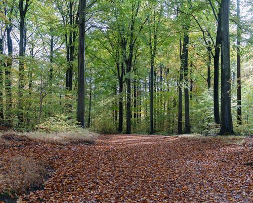 Rummeligt rækkehus i familievenligt kvarter i Ålsgårde