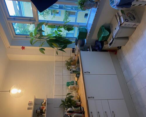 Skøn 3-værelses lejlighed i Vestbyen