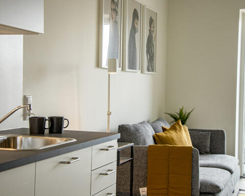 1 værelses lejlighed i Odense V