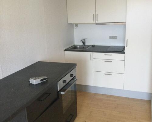 Stor 1-værelses lejlighed med hems