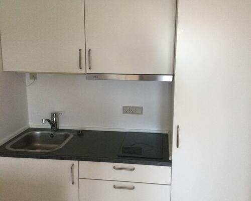 Stor 1-værelses lejlighed med hems