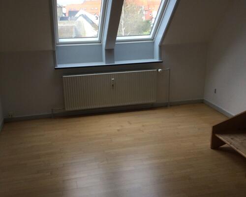 Stor 1-værelses lejlighed med hems