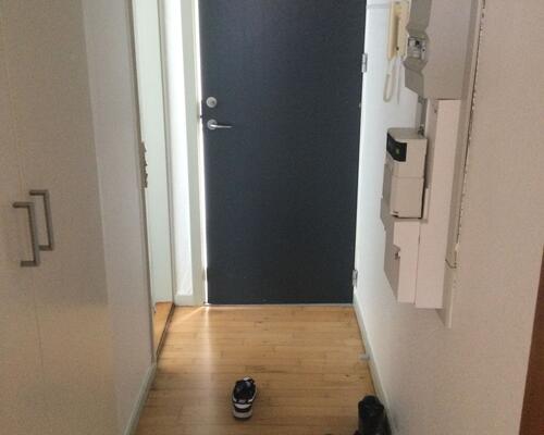 Stor 1-værelses lejlighed med hems