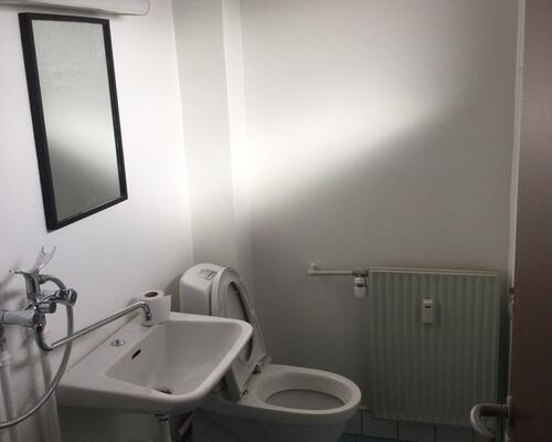 Stor 1-værelses lejlighed med hems