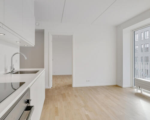 2 værelses lejlighed i København S