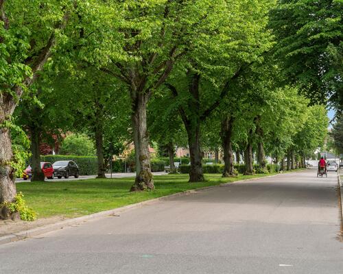 10 værelses lejlighed i Frederiksberg