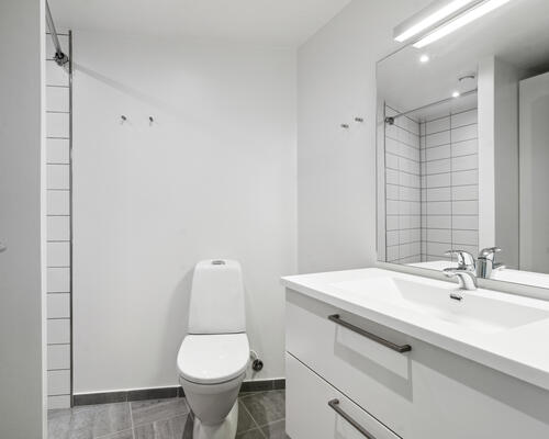 2 værelses lejlighed i Odense C