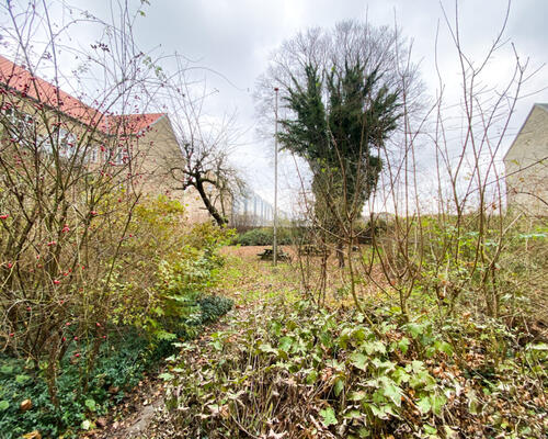 Skøn og hyggelig 2-værelses lejlighed i Aalborg