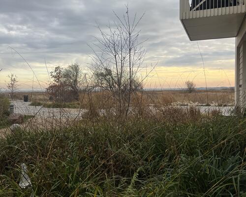 2 værelses lejlighed i Køge