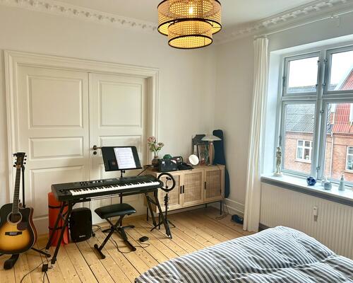 Charmerende lejlighed i det populære Øgadekvarter