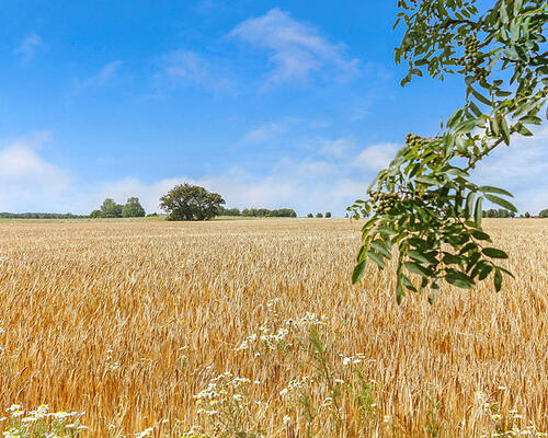 3 værelses lejlighed i Ørsted