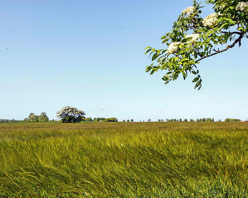3 værelses lejlighed i Ørsted