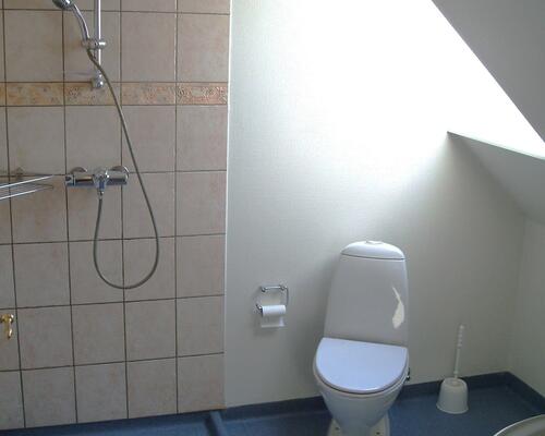 Hyggelig taglejlighed med hems